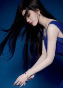 税款被逃溯至1994年