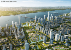 能案场无人欢迎